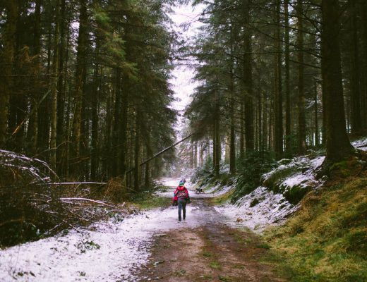 Clocaenog Forest in North Wales